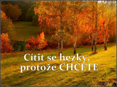 PROTOE TO CHCETE